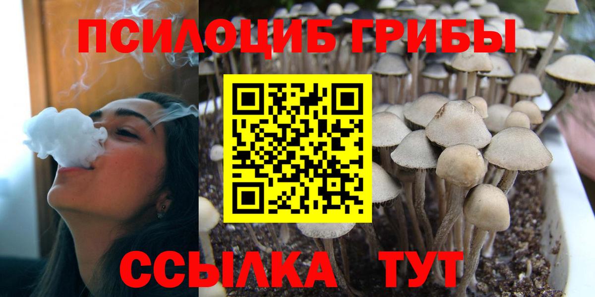 Галлюциногенные грибы Psilocybe Иркутск